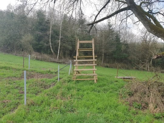 usetzbock-ansitzbock-siège élevé-juecht-jagd-chasse-op mooß-auf maß-sur mesure