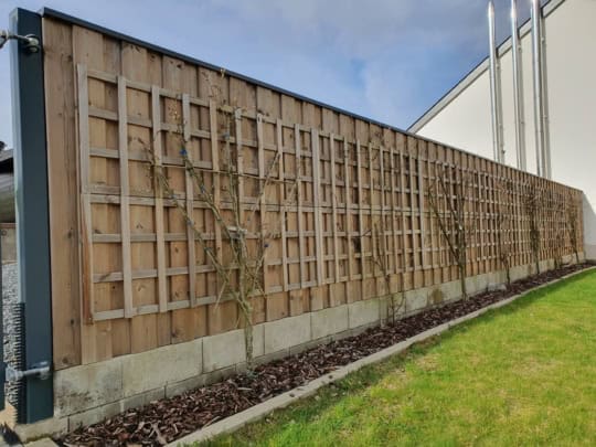 zaun-clôture-holzzaun-clôture en bois-sichtschutz-pare-vue-jardin-garten